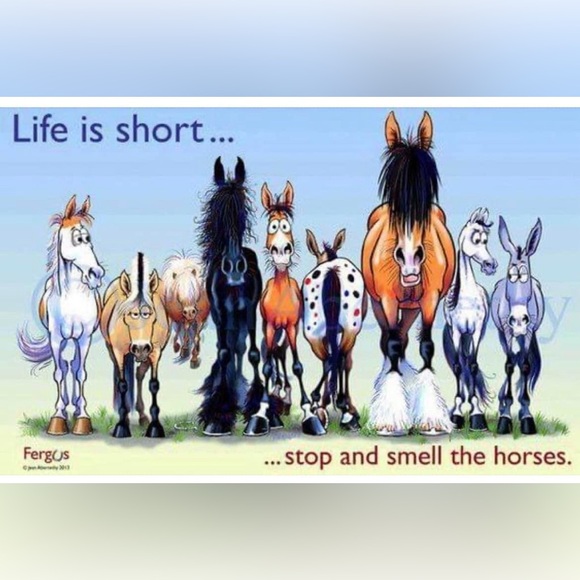 Meet your Posher, Carolin - Picture 1 of 2